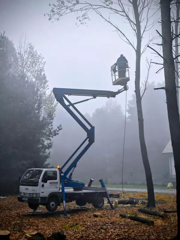 Bezpieczne prace pielęgnacyjne zieleni wykonywane z kosza zwyżki IntDom.