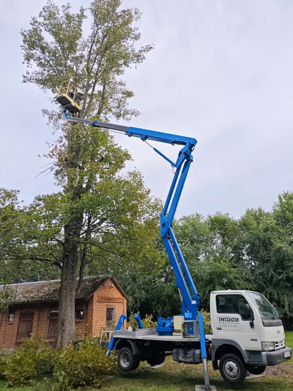 Wynajem zwyżki do prac przy podcinaniu drzew i gałęzi - podnośnik koszowy Puławy IntDom.